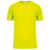 Fluorescent Yellow